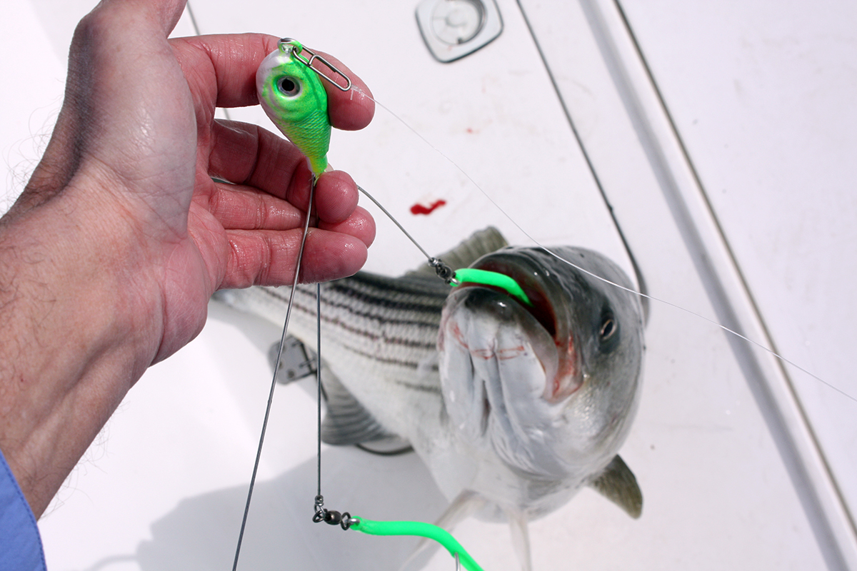 Umbrella Rigs For Bass Stripers Fishing, Freshwater Fishing