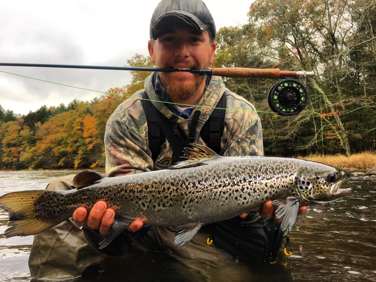 Naugatuck River Atlantic Salmon - The Fisherman