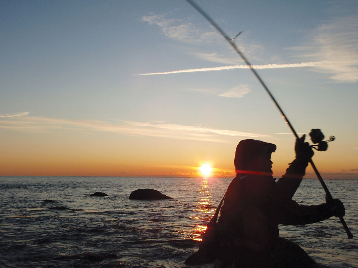 Distance Matters: Baiting Beyond the Bar - The Fisherman
