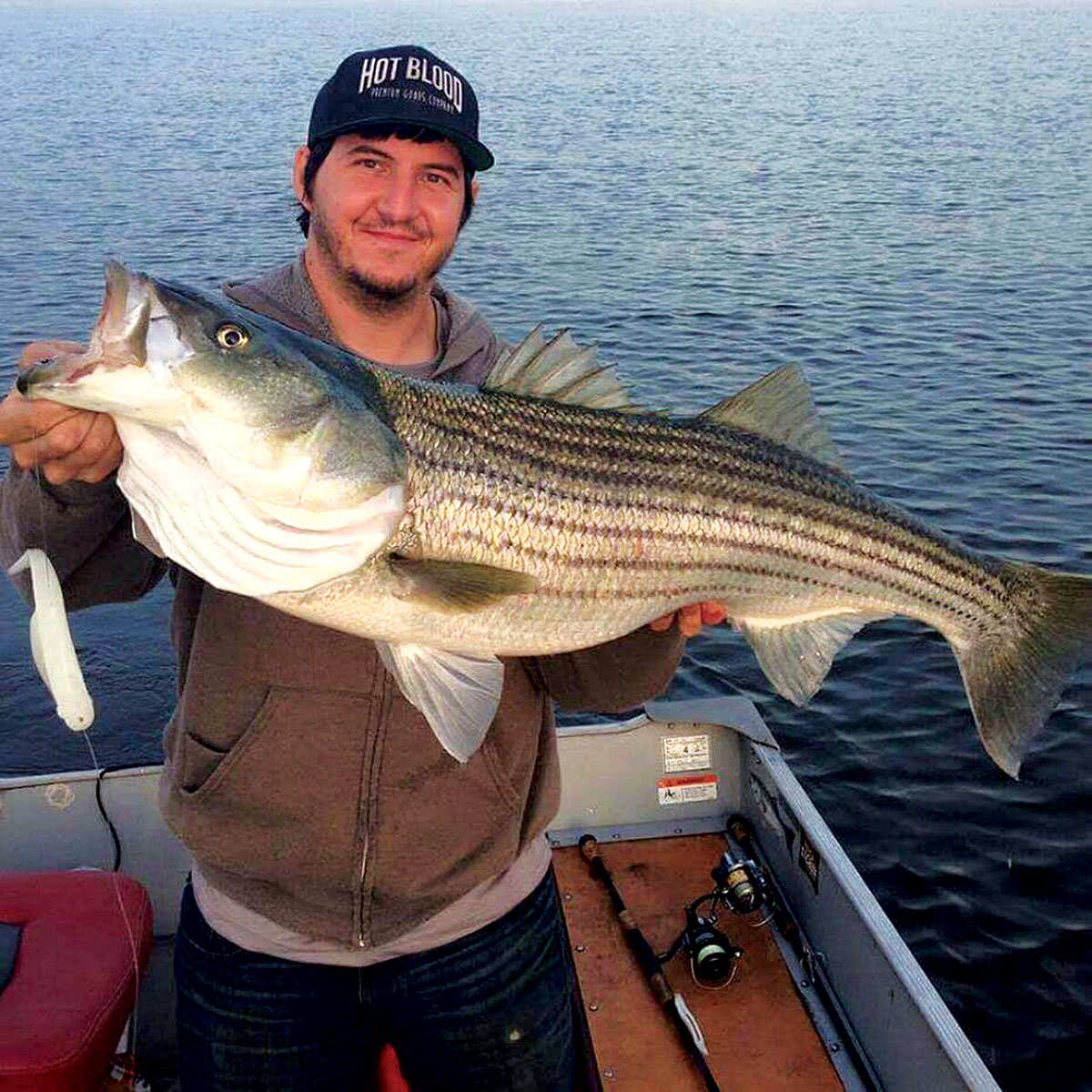 Large Swimming Lures for Striped Bass Fishing