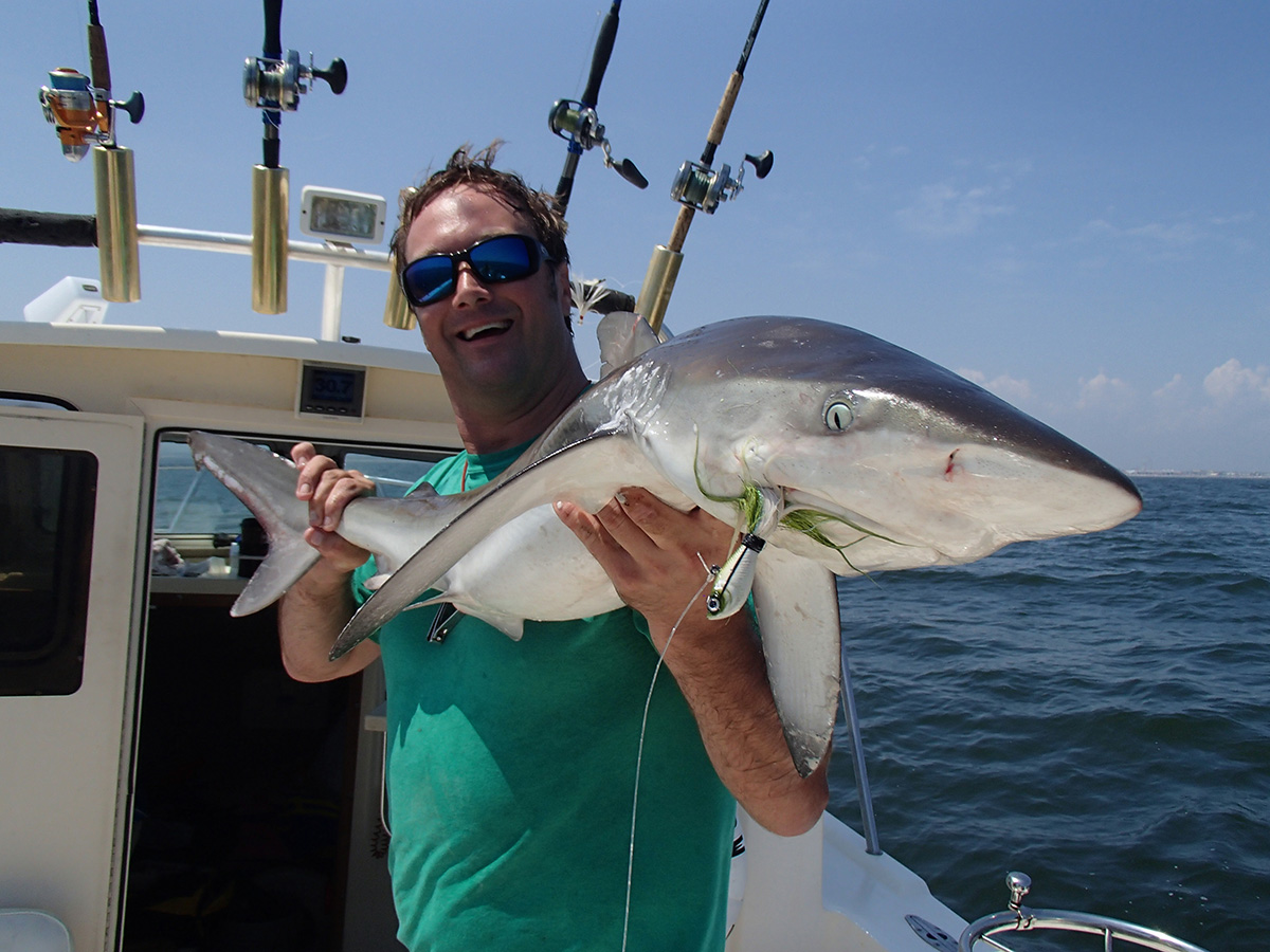 How To Catch Big Sharks On Topwater Lures (And Best Rigging)