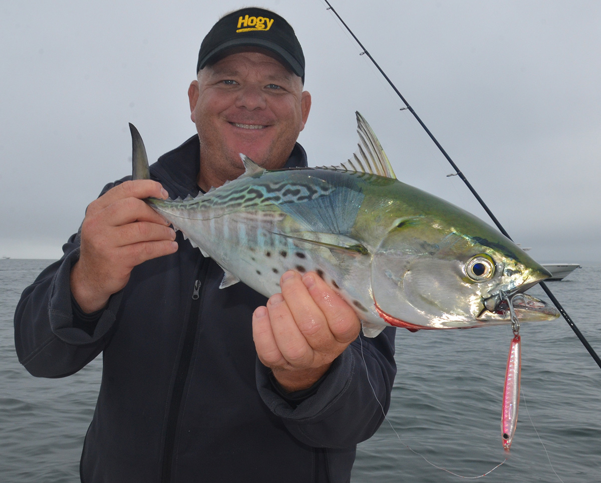 Best Lures when Fishing for False Albacore (Albies) 