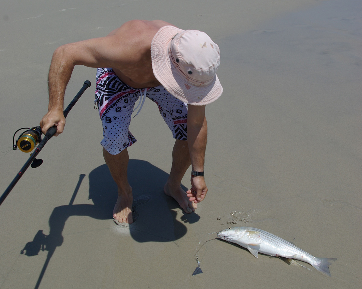 Sand Fleas for Striper Bait - On The Water