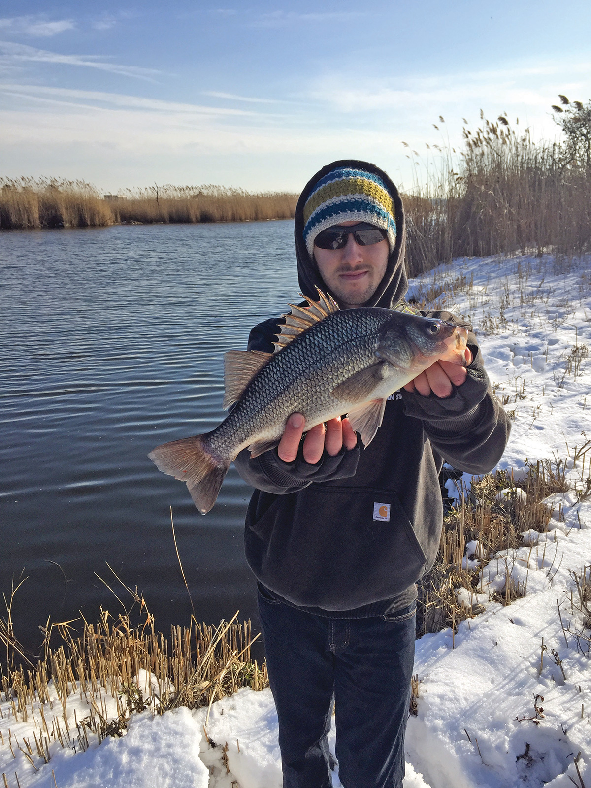 White Perch: Beating Cabin Fever - The Fisherman