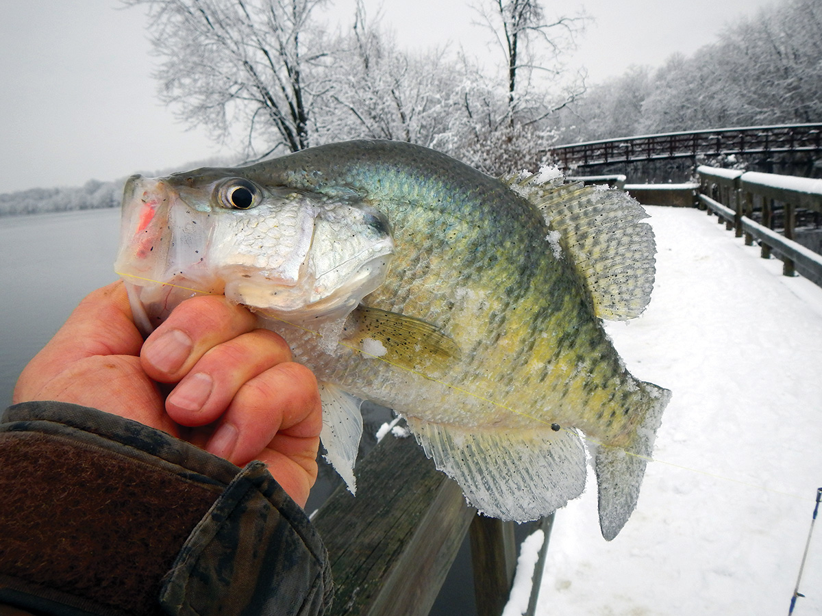 Three productive winter crappie fishing spots