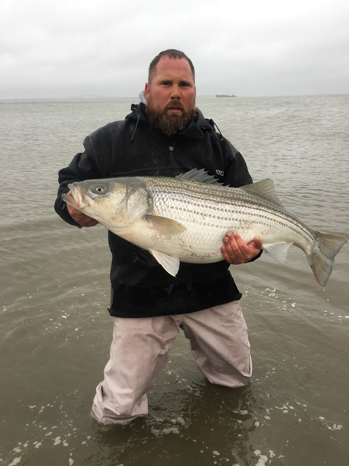 How To Catch Striped Bass In Rivers (Best Lures, Spots, Seasons & More)