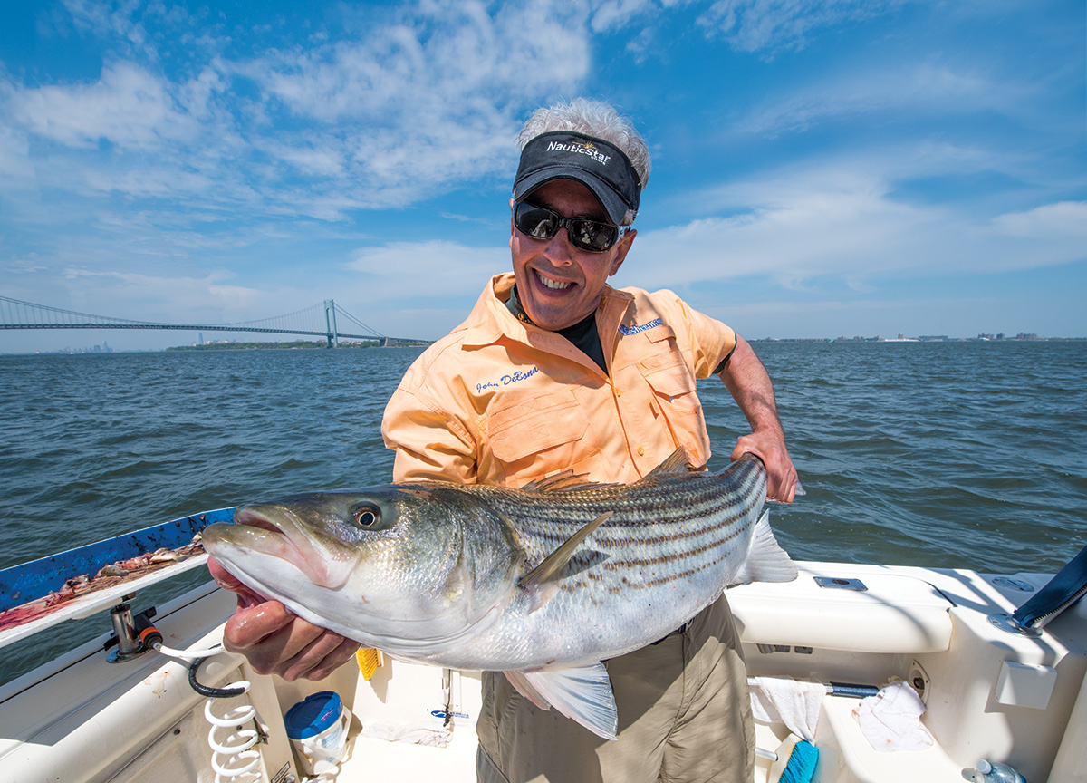 Attracting Stripers: With Low-Down Chunking - The Fisherman