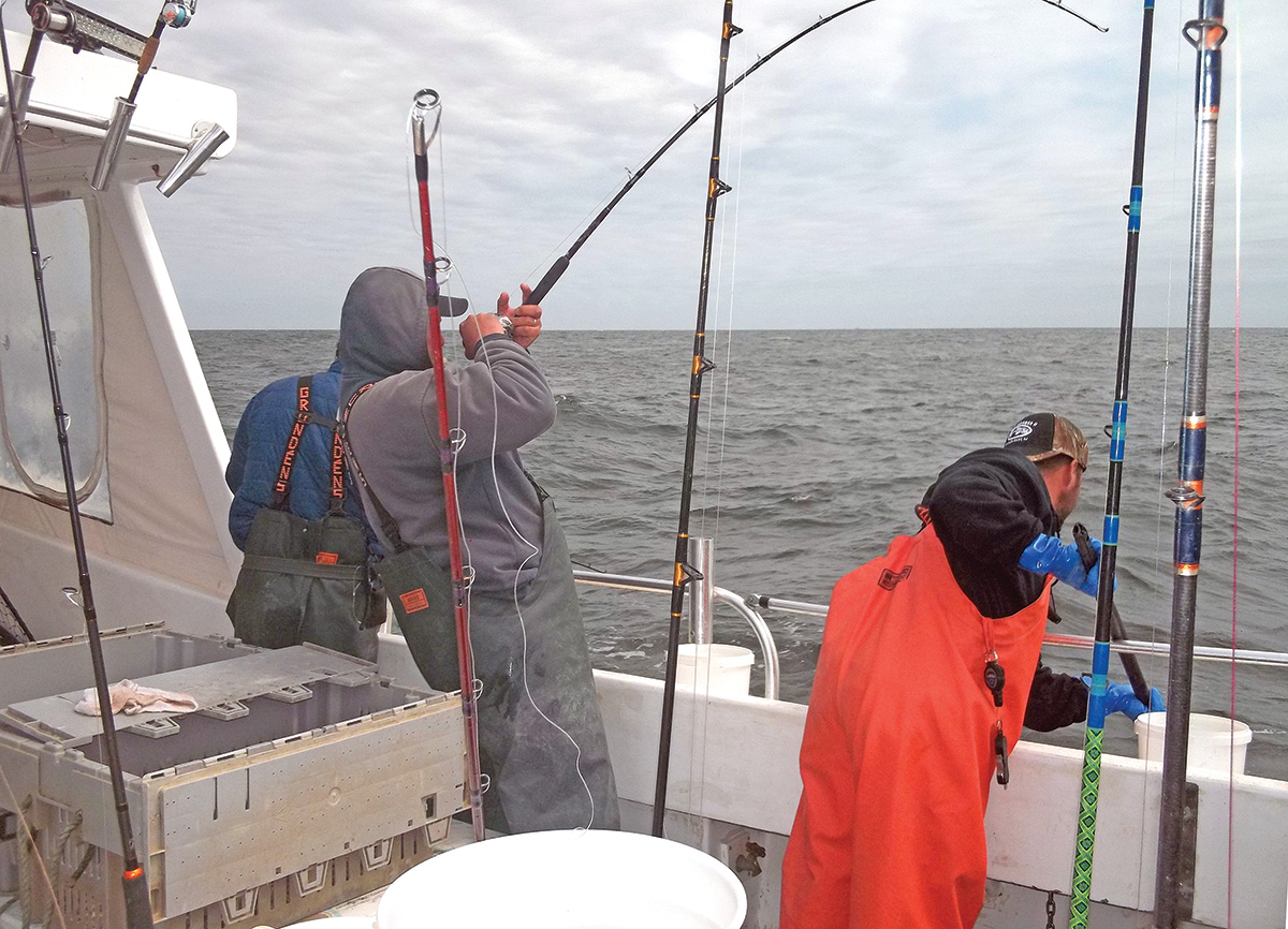 Goofish Fishing Rods – 8ft Spinning Rod – Ocean Gear
