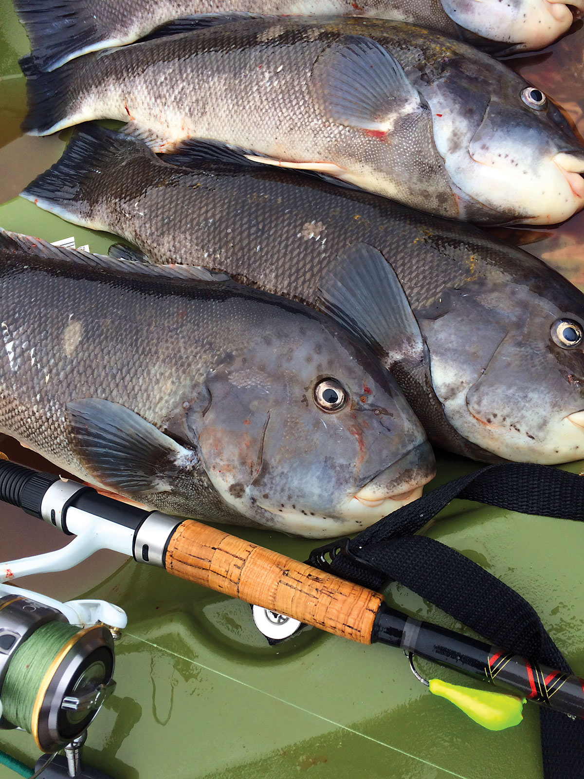 It's time to defrost those reels and gear up for spring fishing