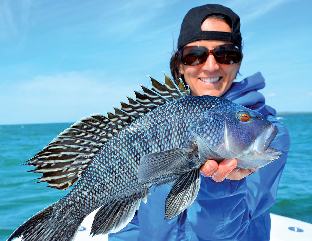 Black sea bass: Little fish, big fun, Fishing