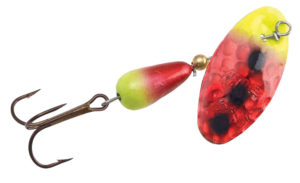 Tip of the Month: Best Baits and Lures for Spring Trout - The Fisherman