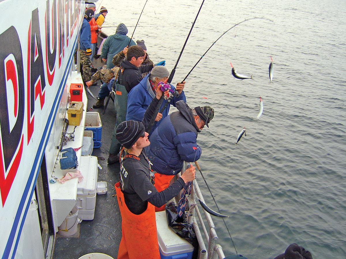 https://www.thefisherman.com/wp-content/uploads/2019/04/2019-2-winter-mackerel-HEADBOAT.jpg