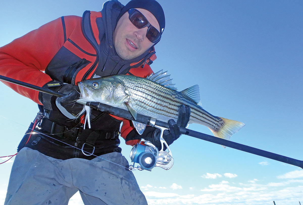 Bass News: Striper Stocks and 50 Count - The Fisherman