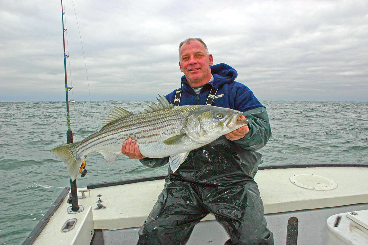 Striped Bass: Catch & Release Mortality - The Fisherman