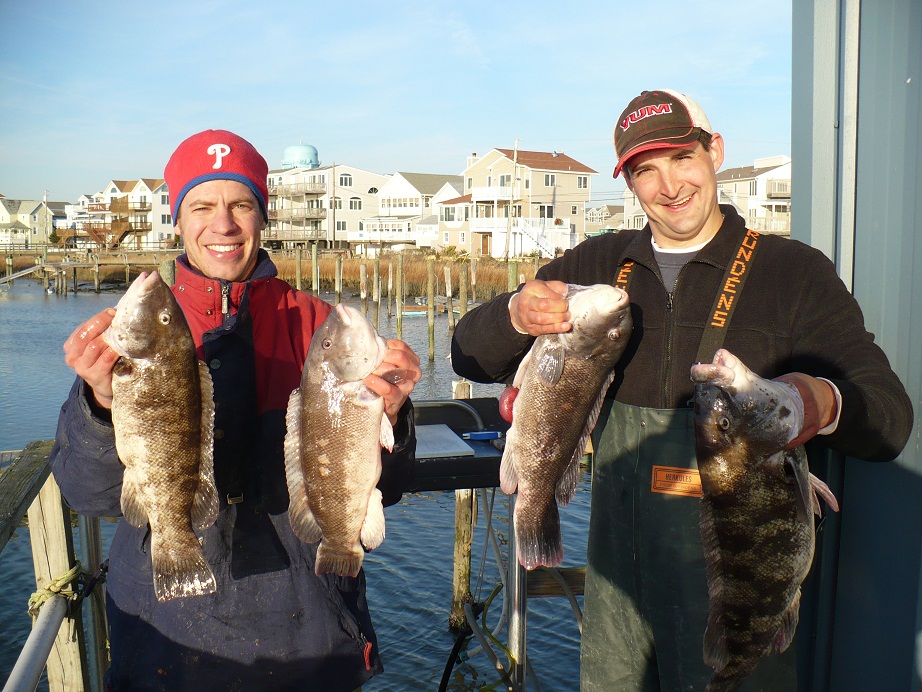 NEW JERSEY SEA BASS AND TOG SEASONS SET TO OPEN The Fisherman