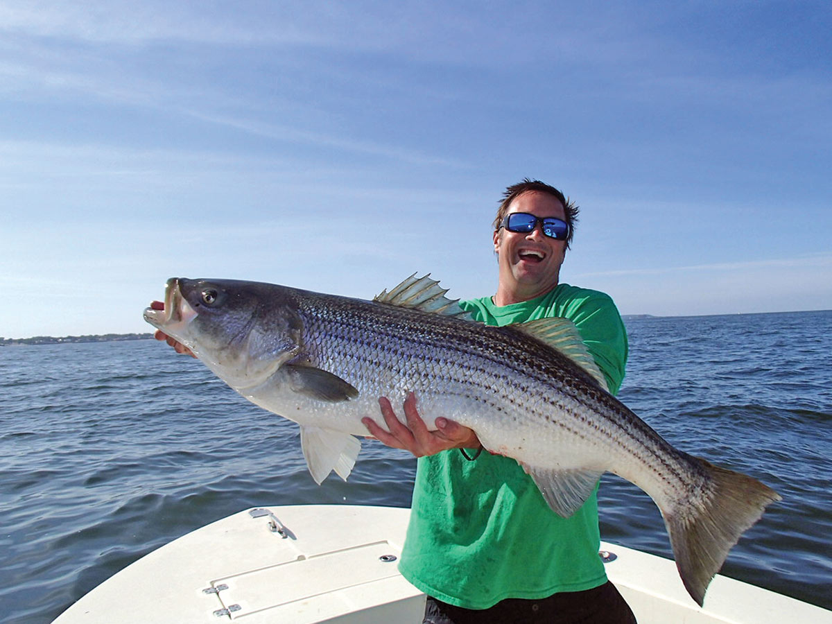 Inshore: Striped Bass Release Essentials - The Fisherman