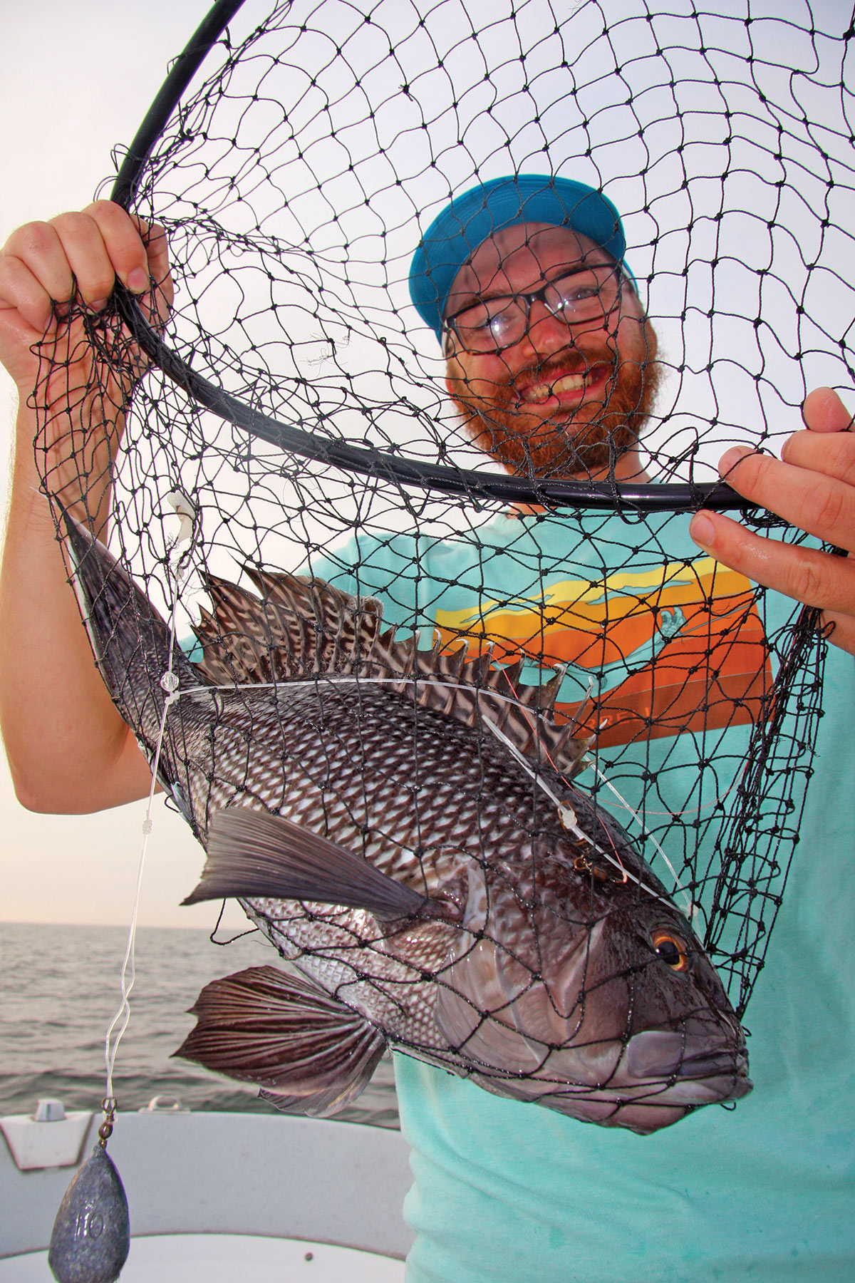 Drag net fishing, Catching of fish using drag net