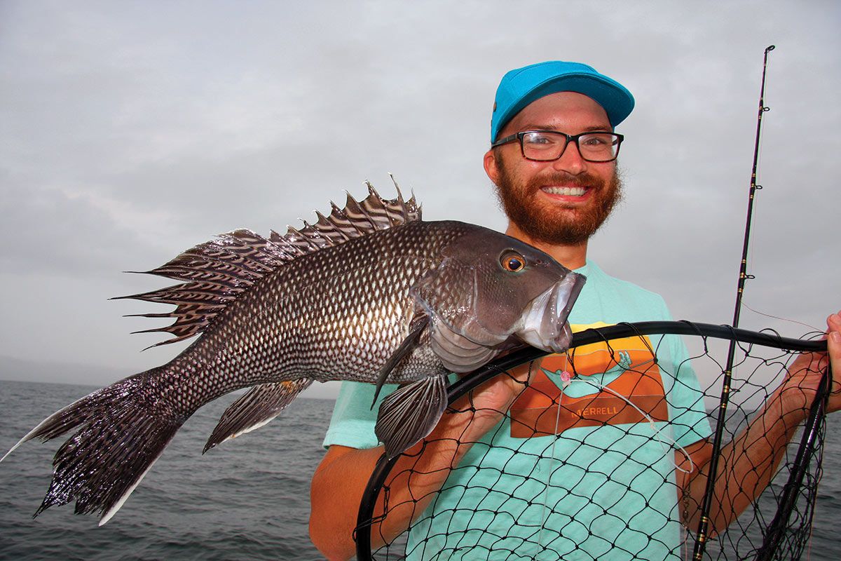 10 Carolina rig ideas  bass fishing tips, fishing tips, fishing knots