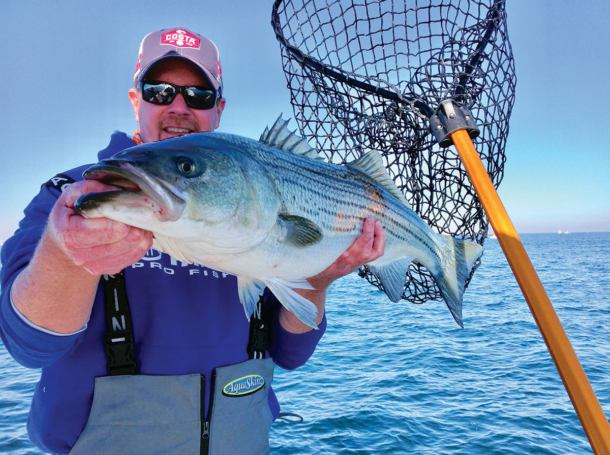 New striped bass fishing curbs eyed amid poor spawning in Chesapeake Bay, Fisheries