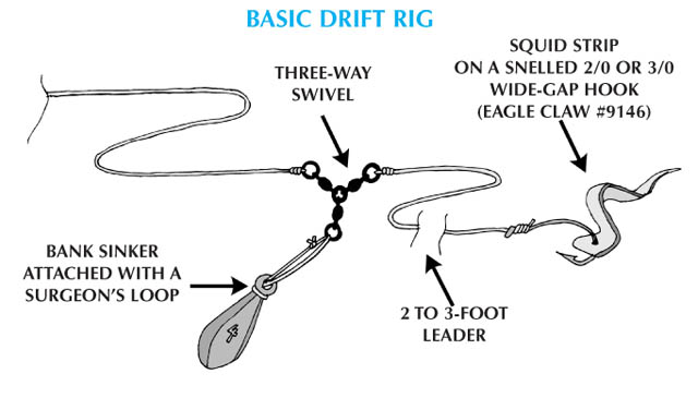 A Brief Introduction to the Seven Fishing Rigs