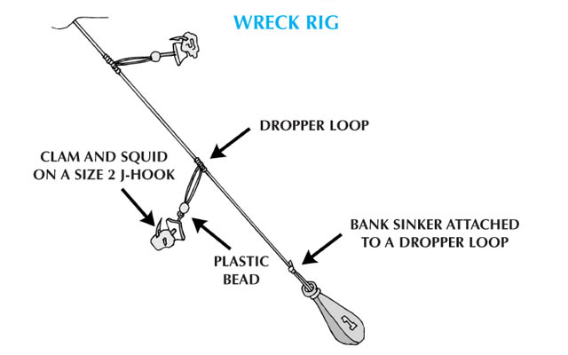 Scup - Wreck Rig - The Fisherman