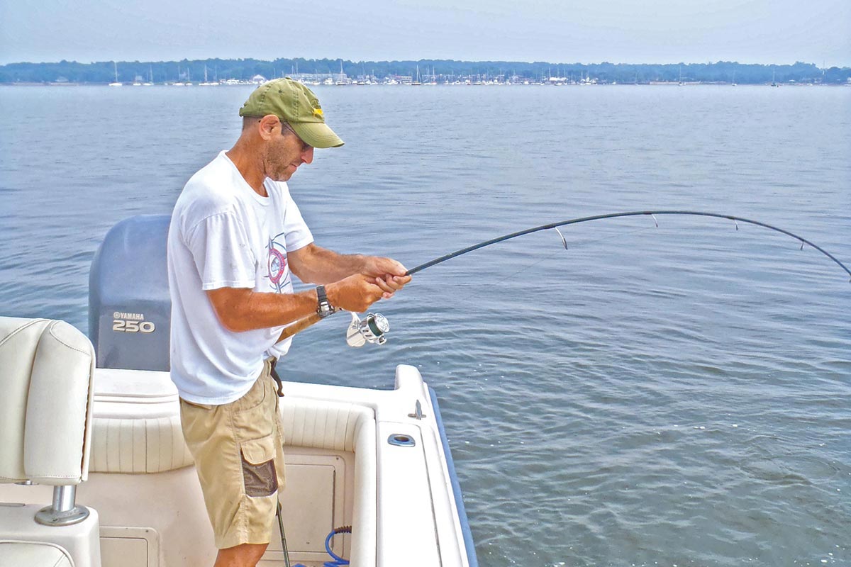 Tweak your shallow fishing and catch more — Angling Times