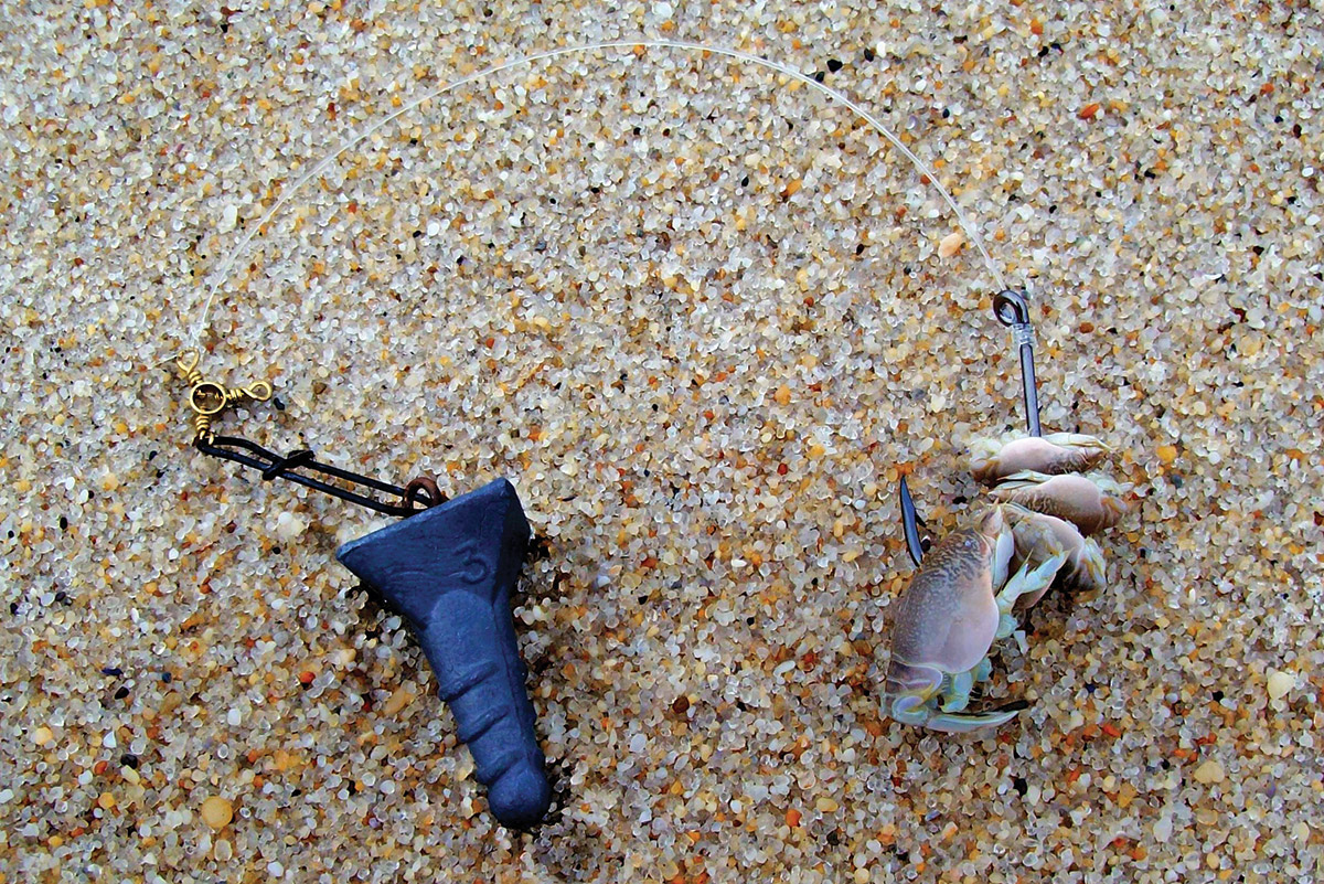 Crunchy Munchies: Sand Crabs for Summer Stripers - The Fisherman