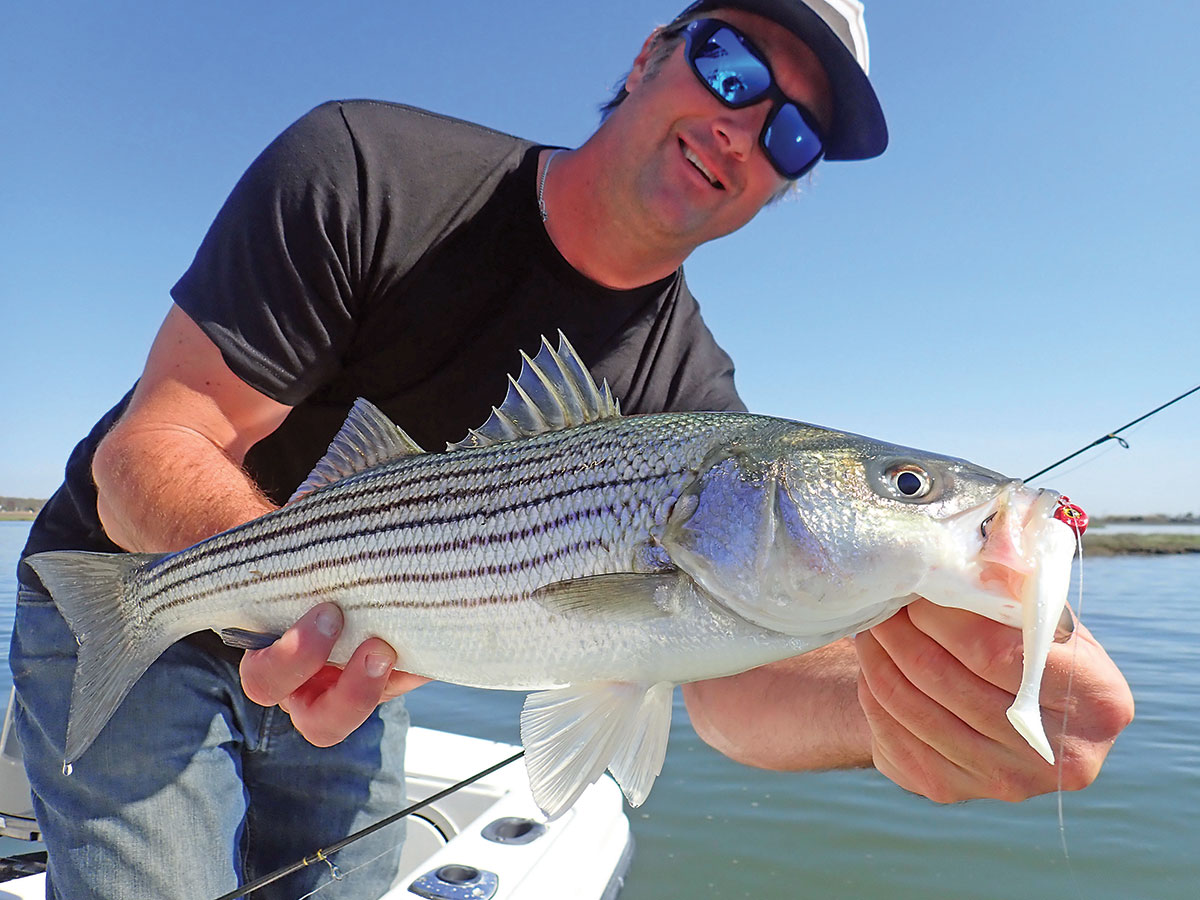 Inshore: Fab Four For September Stripers - The Fisherman