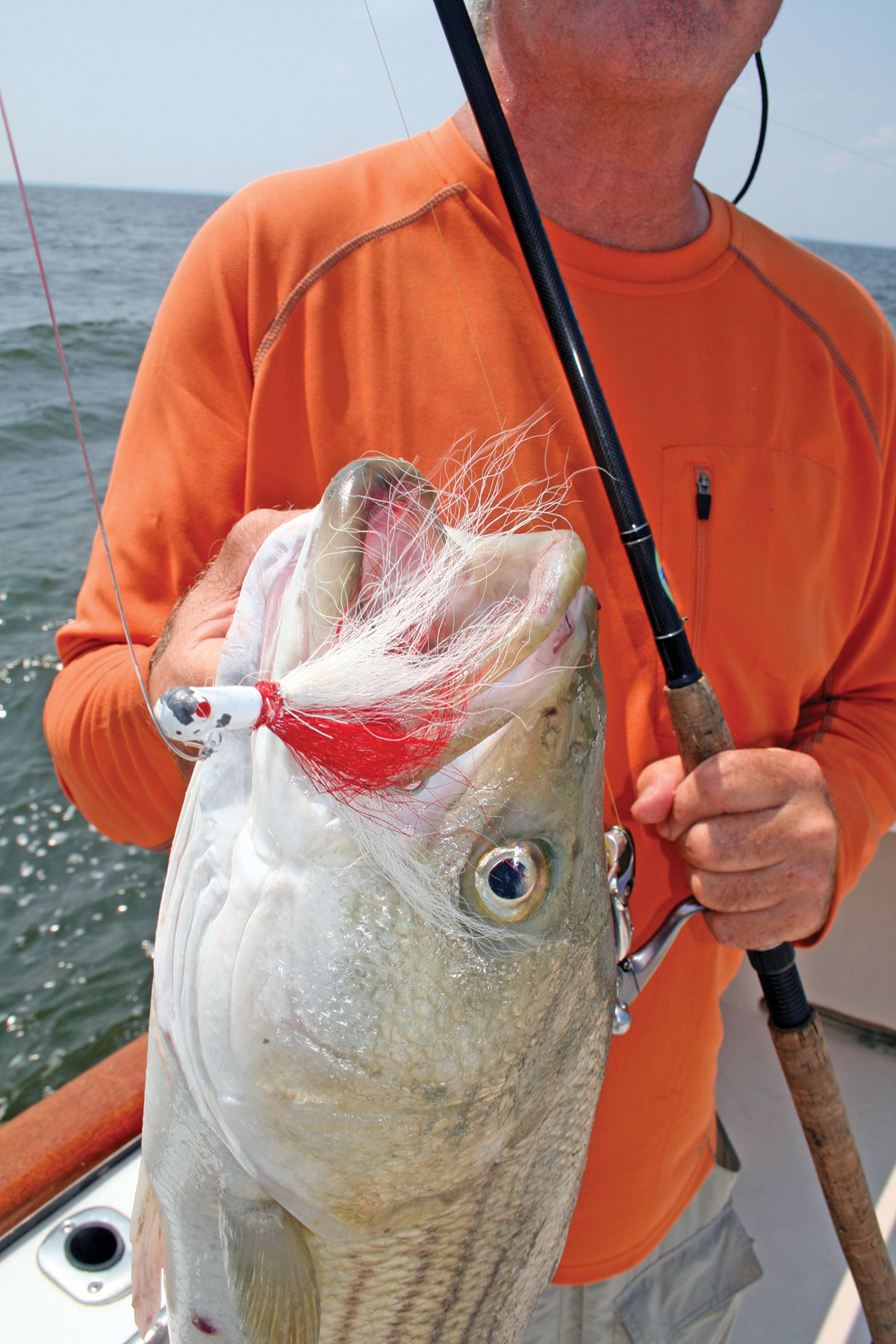 Back to Basics: Fishing The Cape May Rips - The Fisherman