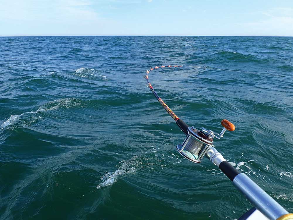 Risk Aversion: Overcoming Wire Line Phobia - The Fisherman