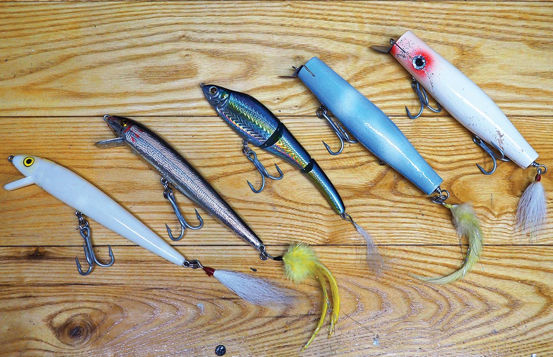 Tips & Tricks for Herring Run Stripers - On The Water
