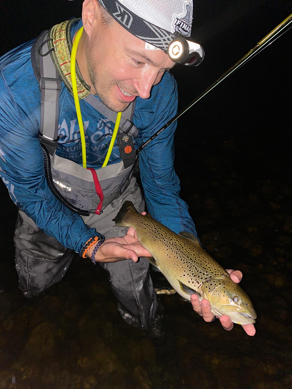 Night Moves: Minnie Mouse Trout - The Fisherman