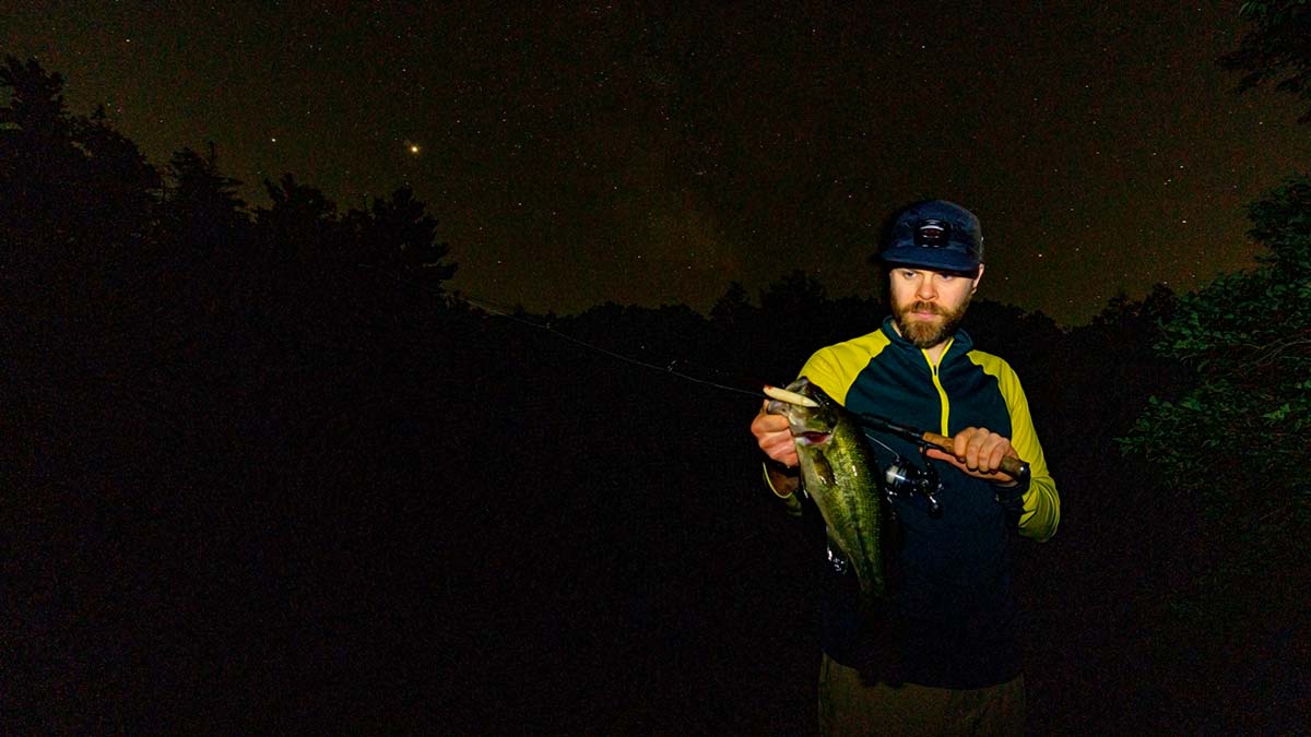Freshwater: Summertime Eyes At Night - The Fisherman