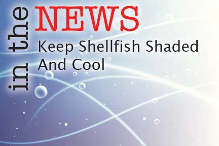 Keep Shellfish Shaded And Cool - The Fisherman