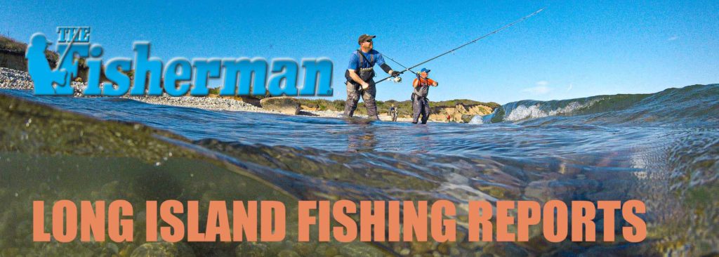 Fishing Forecast – The Post Newspaper
