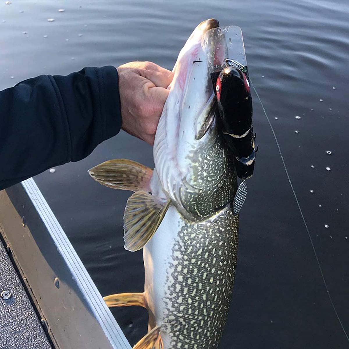 Late season PIKE! Who doesn't love when you can catch fish and a