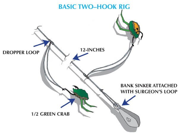 Blackfish - Basic Two-Hook Rig
