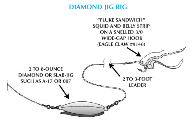 Fluke - Diamond Jig Rig
