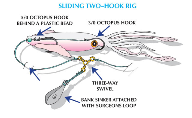 Fluke - Sliding Two-Hook Rig