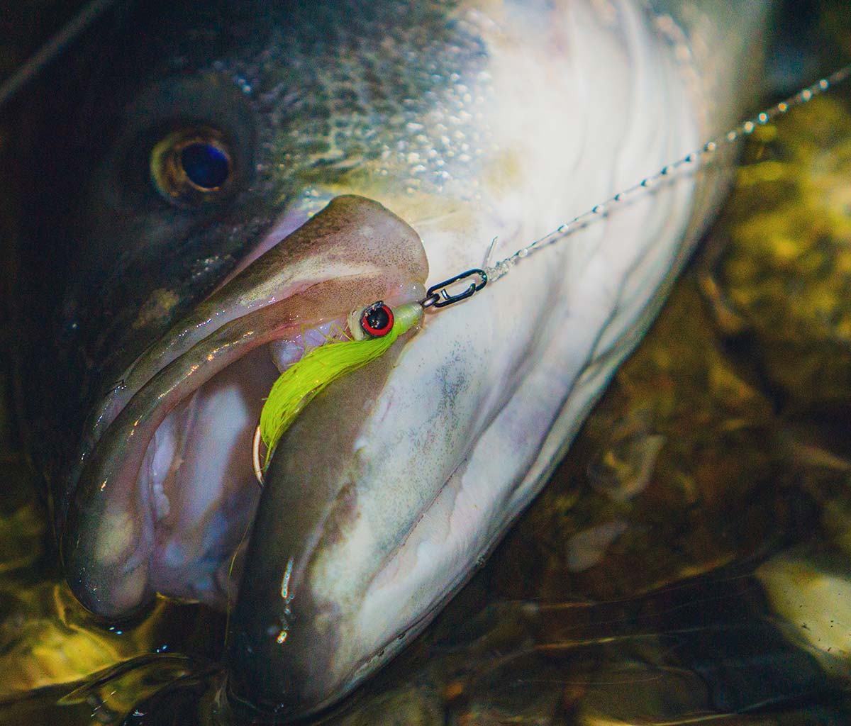 Surf: Fly Fishing “Quick Clips” - The Fisherman