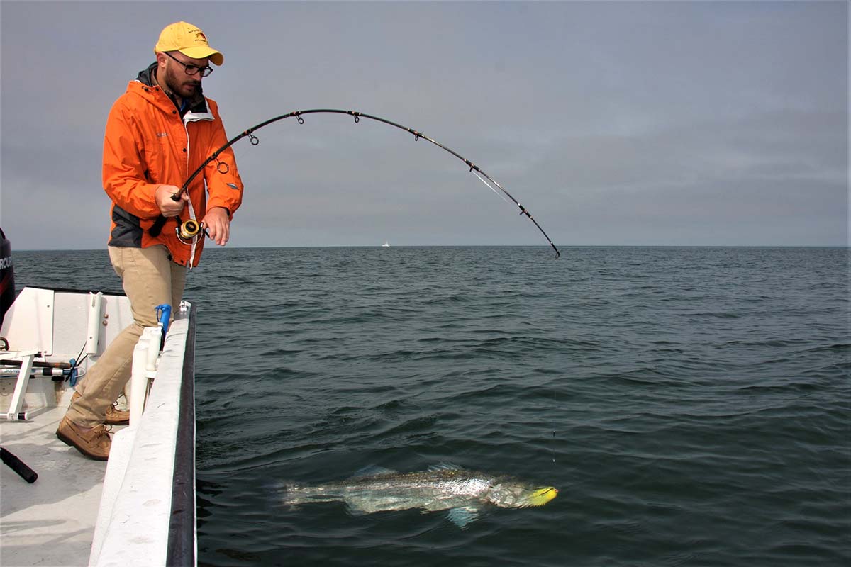 Catching smaller fish with Medium-Heavy rod? : r/FishingForBeginners