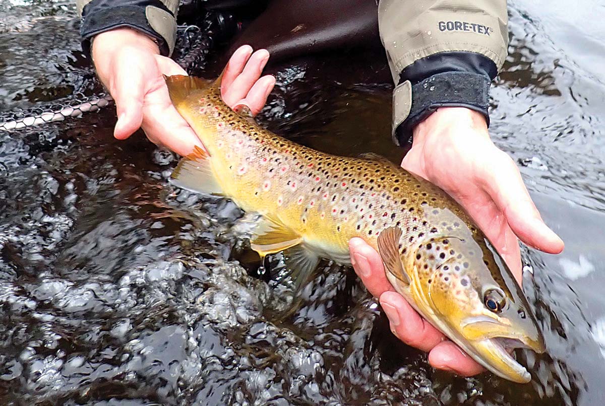 Fly Fishing in Maine: February and March– All Points Fly Shop +