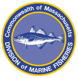 MASSACHUSETTS PROPOSES MODIFICATION TO COMMERCIAL STRIPED BASS SEASON - The  Fisherman