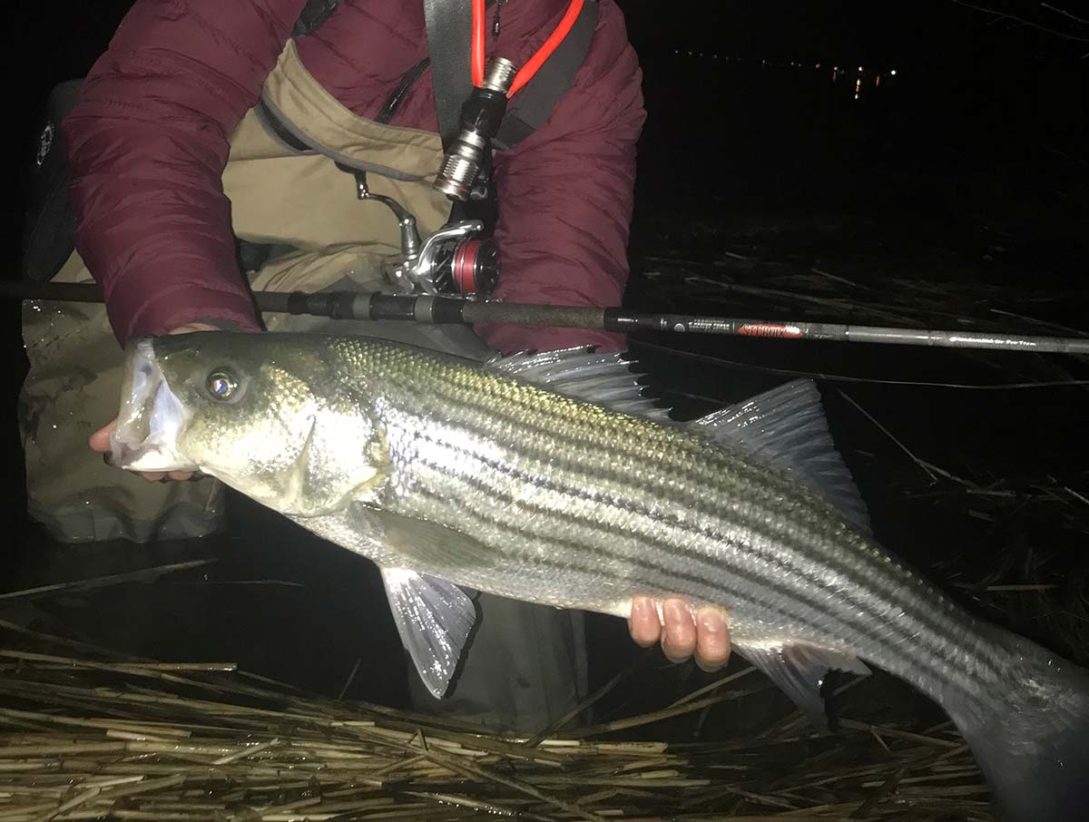 Top 5 Spring Striped Bass Lures (On Water Footage) 