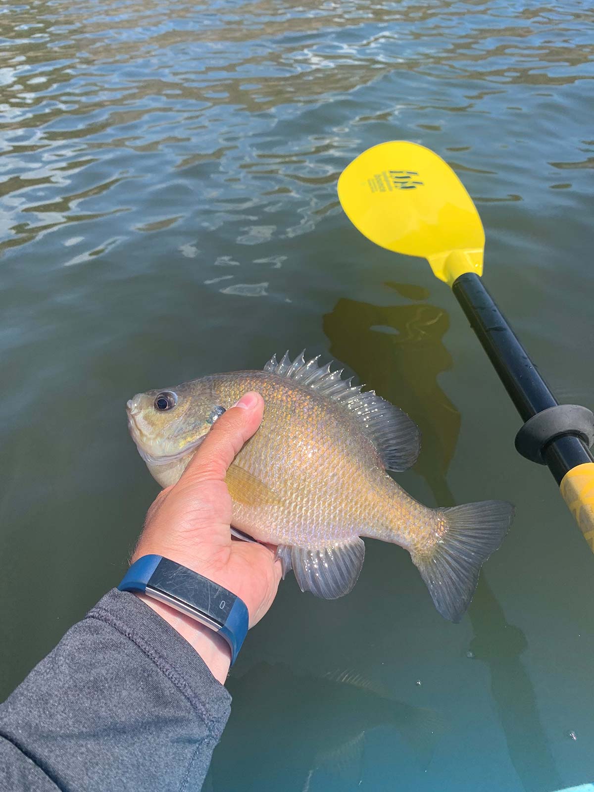 How To Fish From Your Kayak Standing Up (Cool Paddle Trick