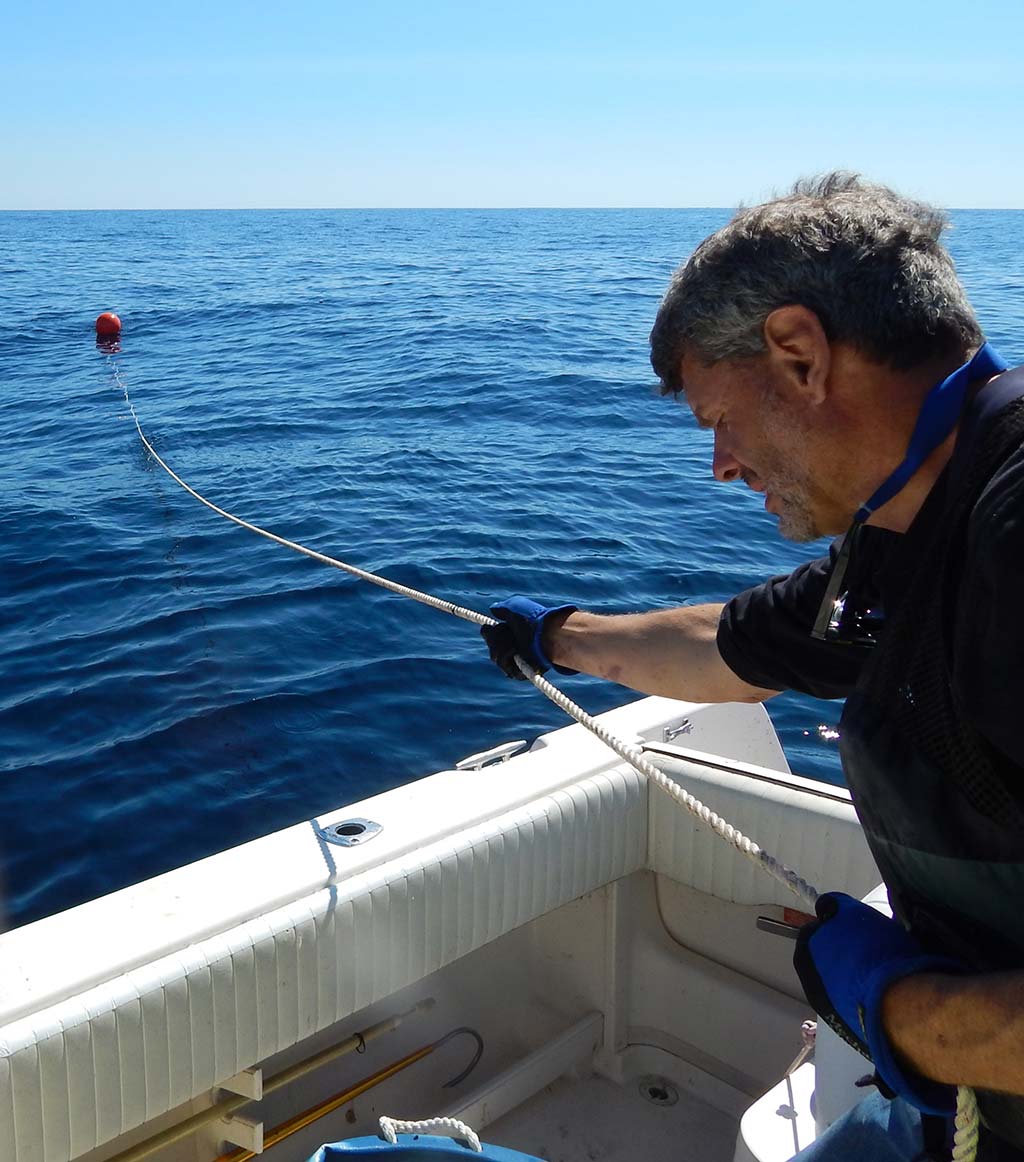 How-To: Proven Wreck Fishing Tactics - The Fisherman