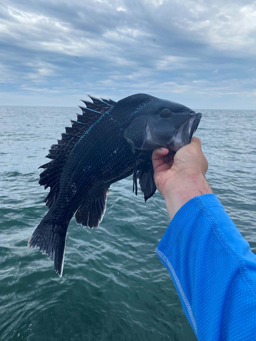 Rhode Island Fishing Report – May 20, 2021 - On The Water