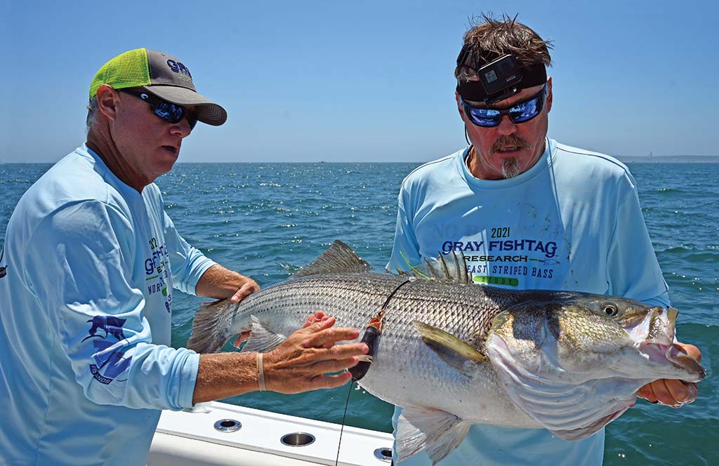 4 Out Of 5: A 2021 Striper Tagging Update - The Fisherman