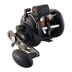 10 Best Level Wind Reels 2024, There's One Clear Winner