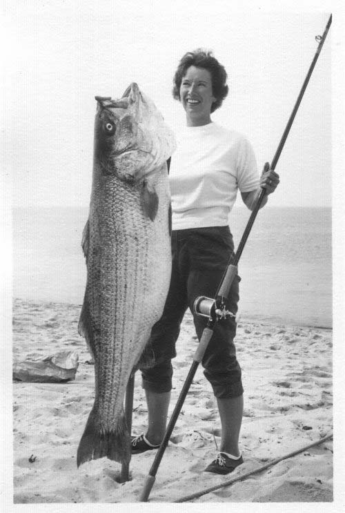 One Long Summer of Stripers - The Provincetown Independent
